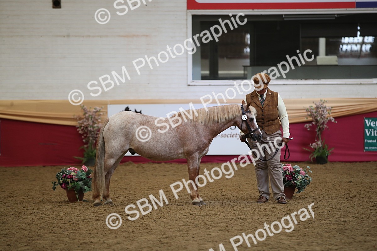 SBM_05285 - Class 8R - Regional IH Veteran