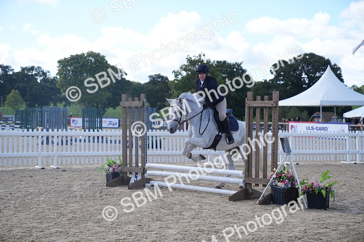 SBM_02521 - J54 Clear Round 45cm