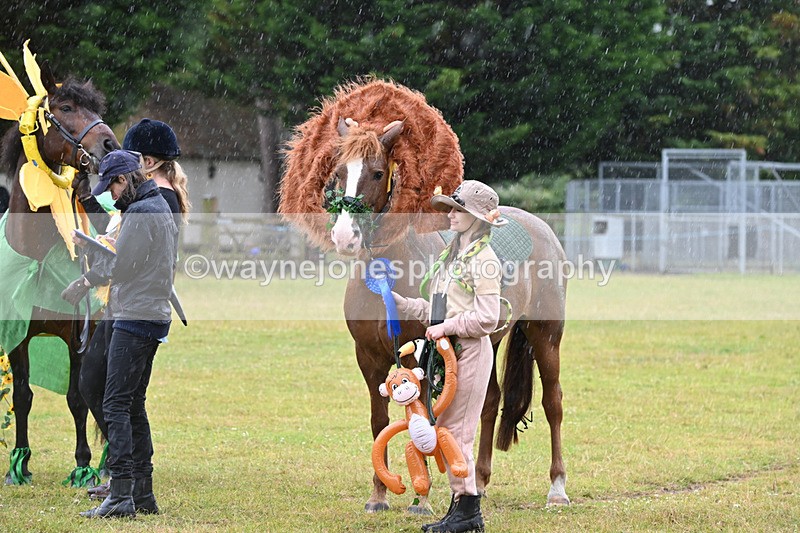 WJ6_9387 - Class 11 Fancy Dress