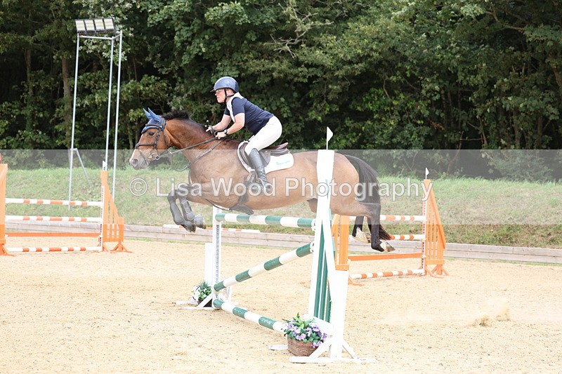 3E7A6546 - Class 9: Senior Foxhunter/1.20 open