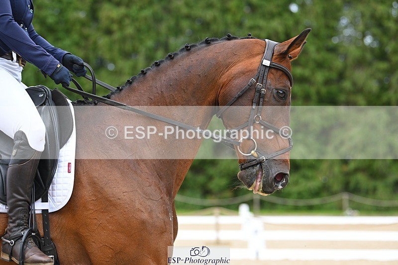 230813-141746-07720 - Cls 13 Medium Bronze 13.15 to End