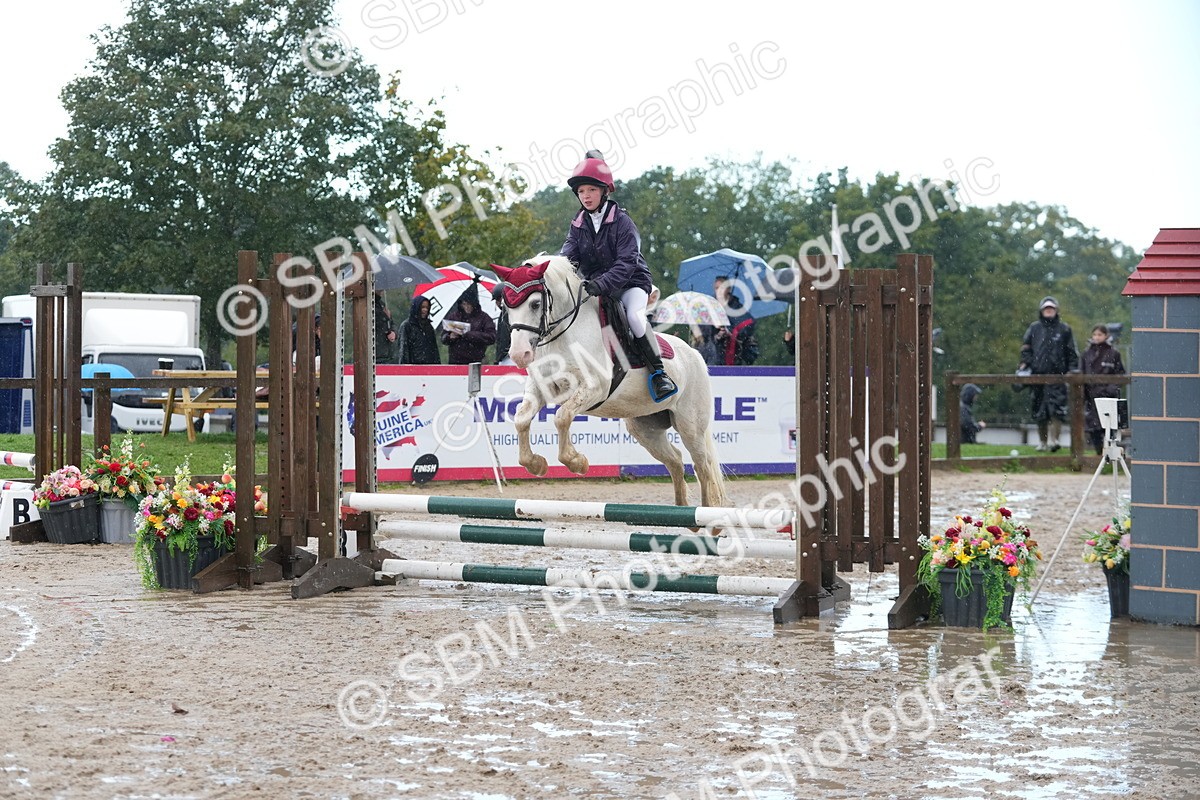 SBM_36315 - J5 - Junior Pony 50cm Championship