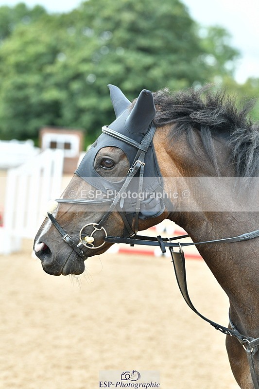 230813A-121451-11878 - Cls 41 85cm National Amateur Qualifier