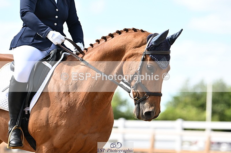 240622A-162901-13123 - Cls 6B+C Novice 30 RoR