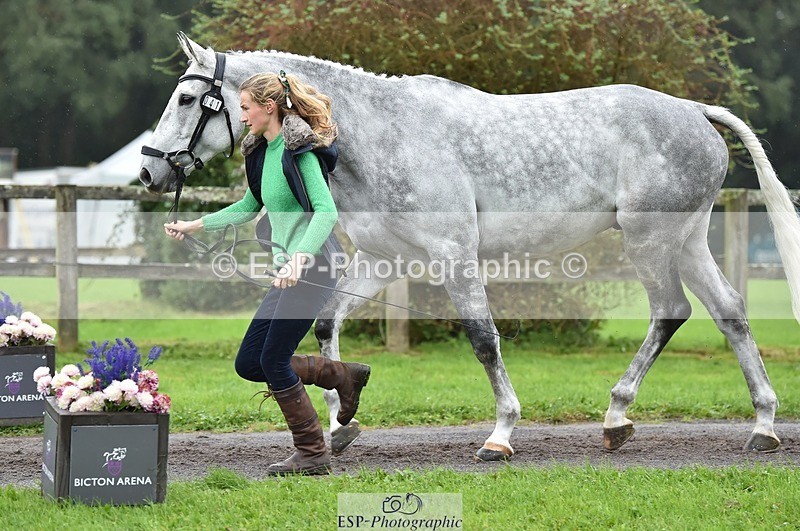 231018-122958-00336 - 041-ELECTED-Megan.Bailey-TrotUp