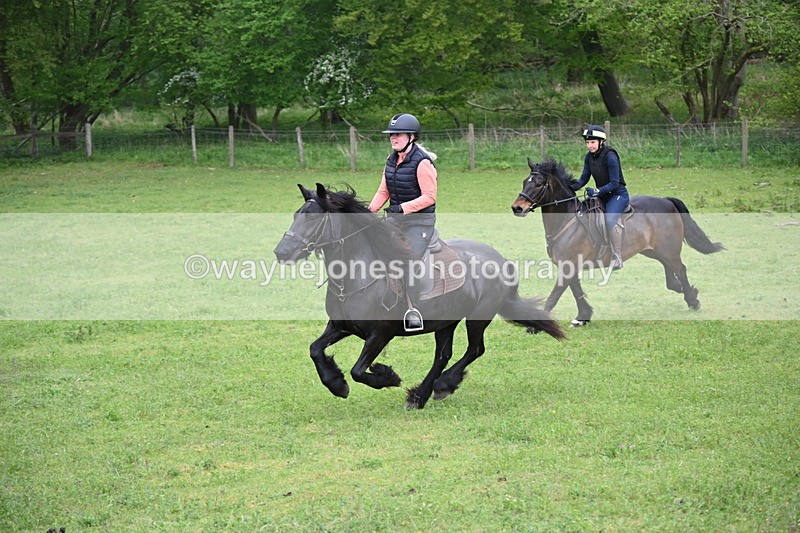 WJ6_2684 - A camera