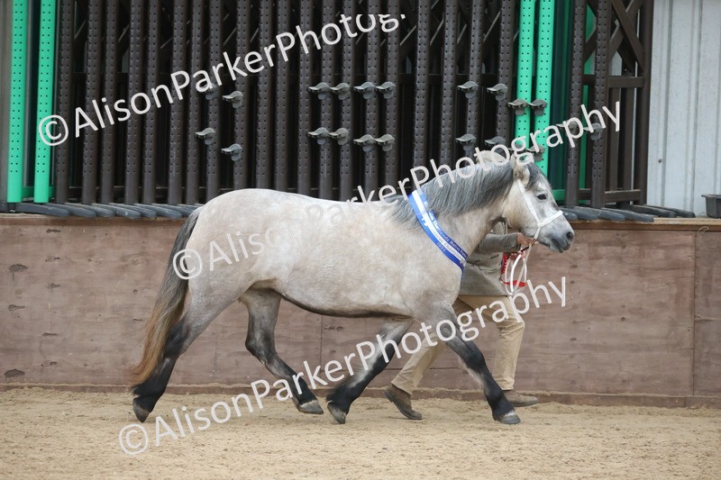 20251109-1186 - Championship