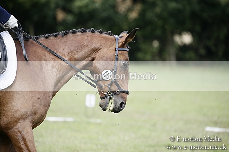BVR090918 261 - BVRC Dressage and Show Jumping 09/09/18