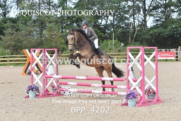 BPP_4202 - CLASS 10 SUN Clear Round Show Jumping