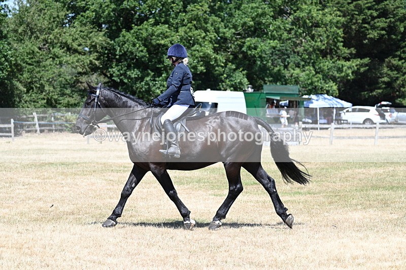 WJ7_2935 - Class 7 Riding Club Show Horse