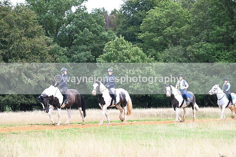 DSC_6792 - Time at Statue 12:45 to 13:15