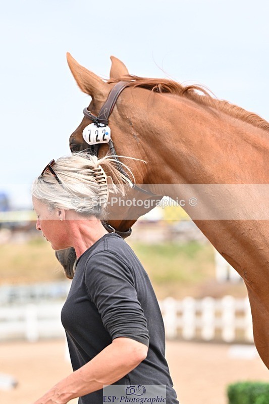 250716-154016-02099 - Trot Up 3.30 to 4.30