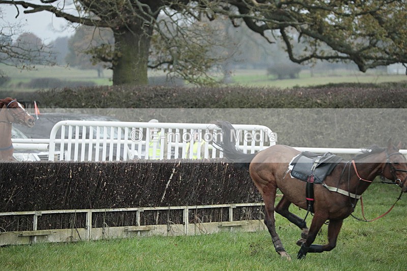 PtP 041222 0246 - Wheatland  Hunt PtP Chaddesley Corbett, Worcs 04/12/22
