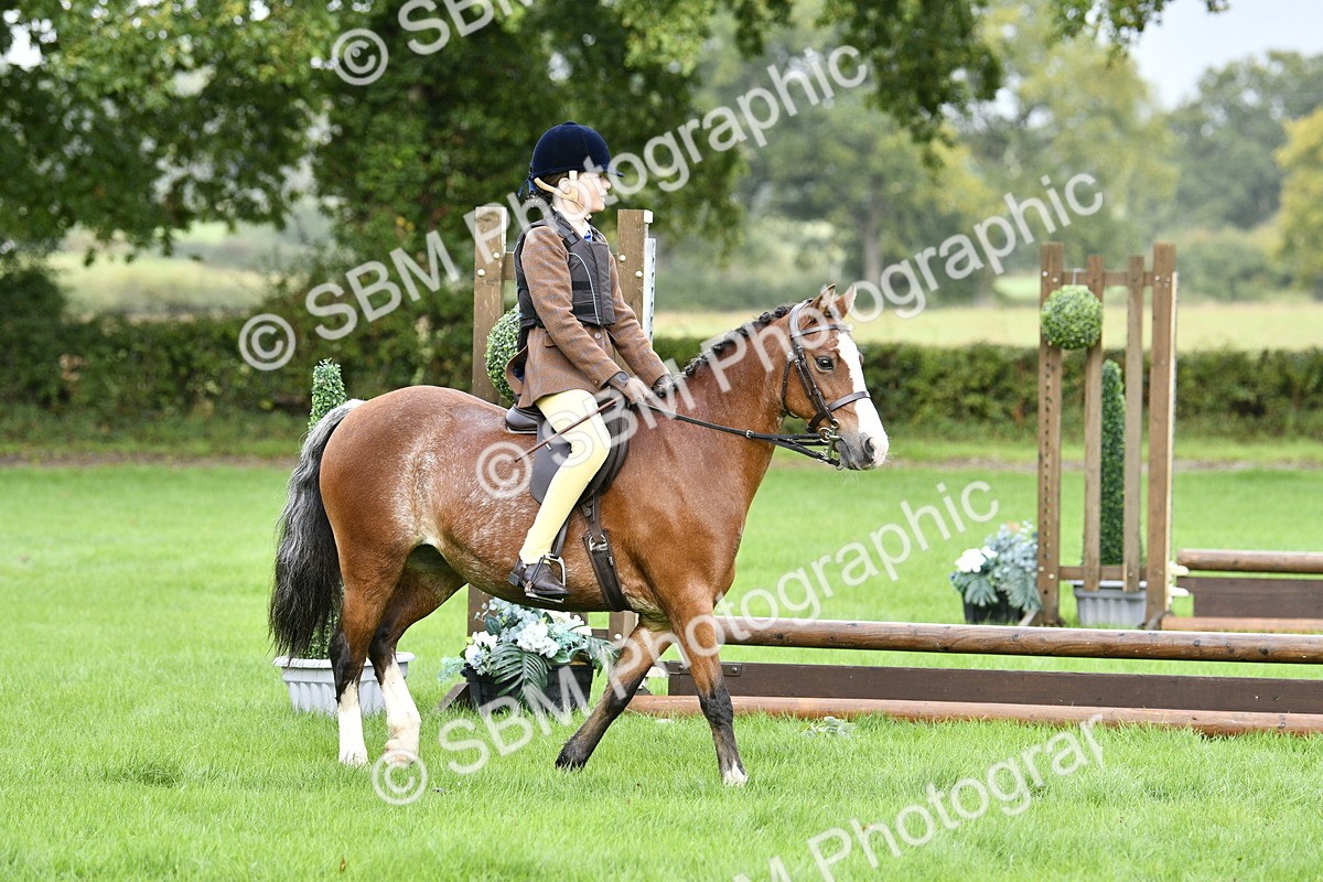 SBM_35435 - S30 - Nursery Stakes Working Hunter Pony