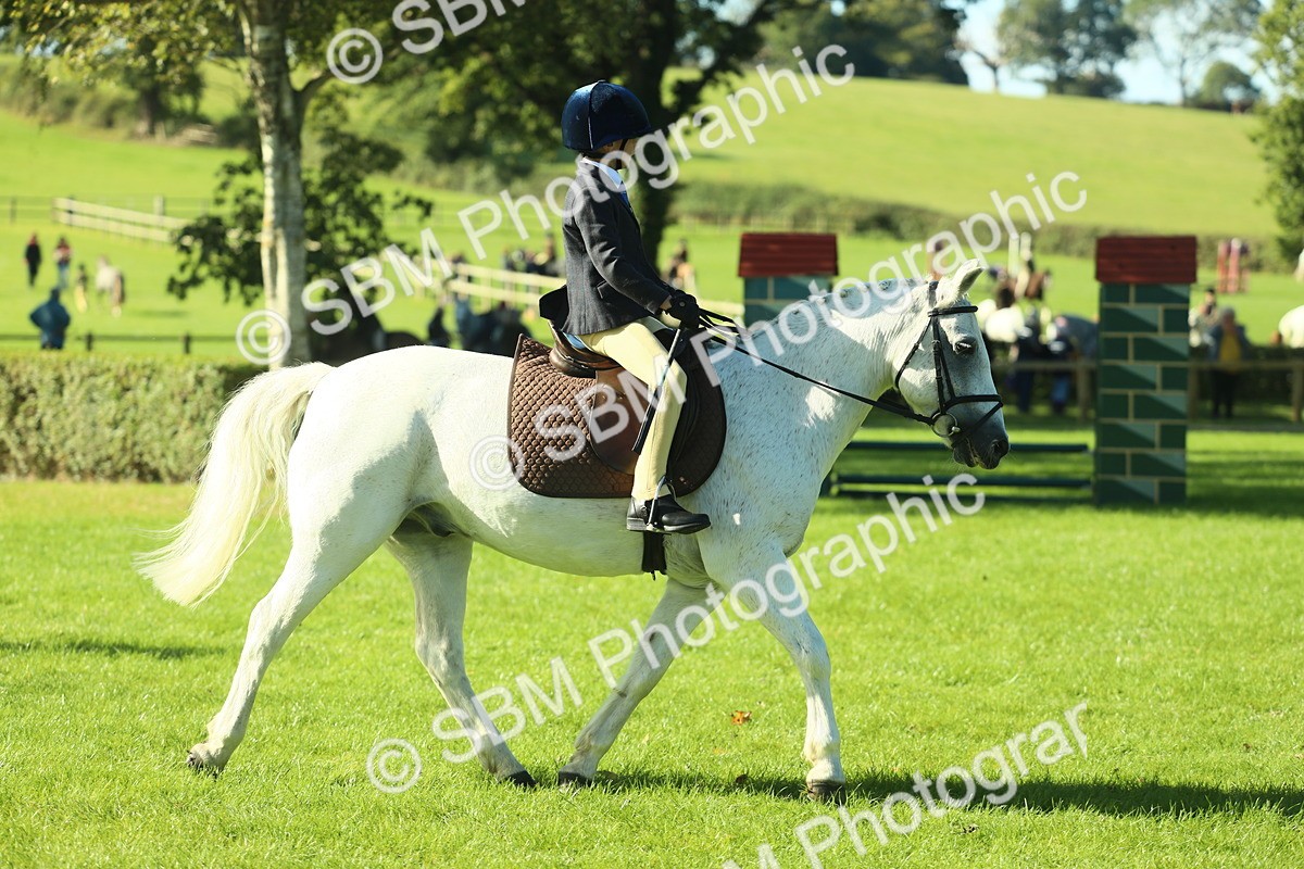 SBM_36482 - S29 - Novice & Newcomers Working Hunter Pony