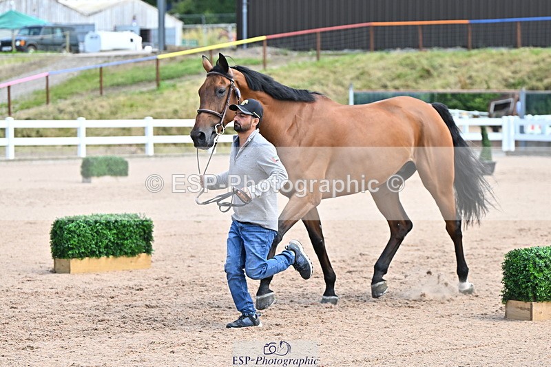 240718A-105255-01332 - Trot Up 12pm to 1pm