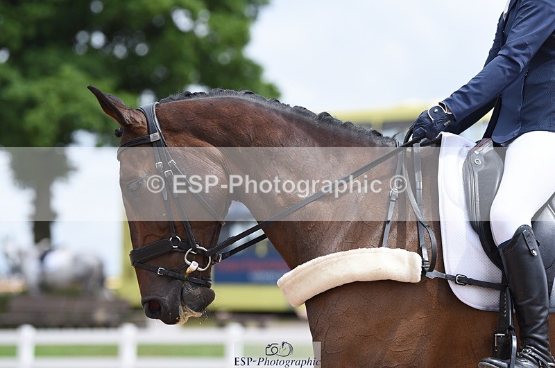 230701A-122640-05910 - Cls 7a Elementary 44