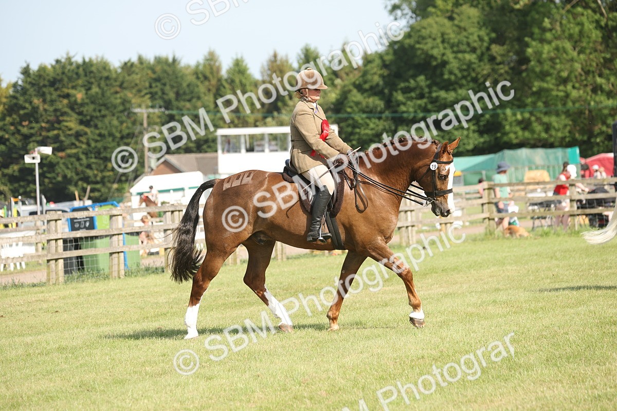 SBM_10228 - Class 33-38 - SSADL RIHS Qualifiers