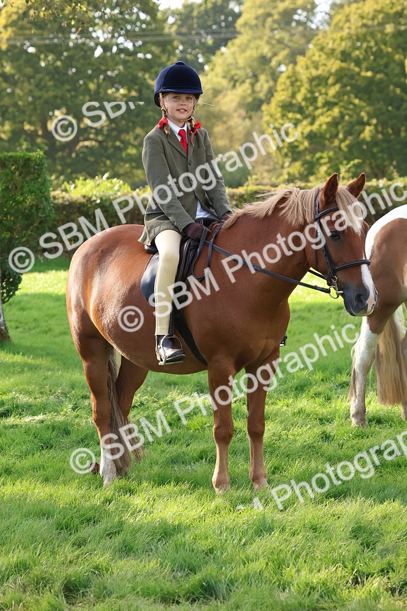 SBM_52613 - S13 - Pony Club Pony