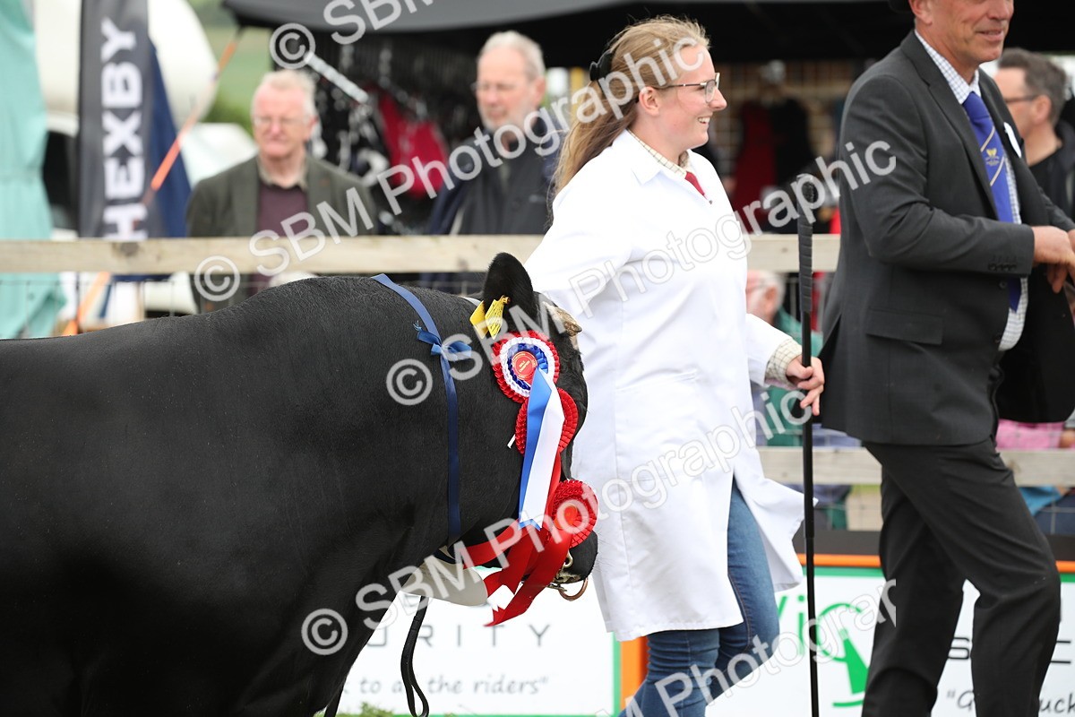 SBM_07848 - Grand Parade