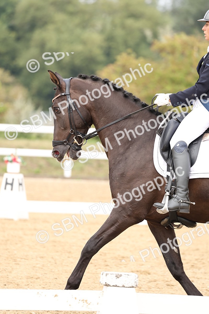 SBM_007590
