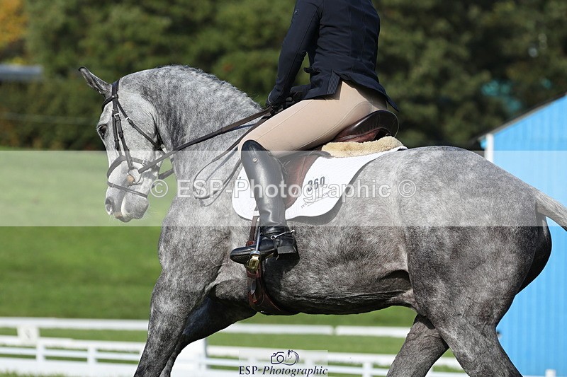 251024A-121929-10166 - D-360-Hannah.Norvill