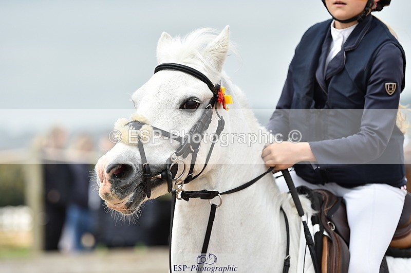 230902A-114848-00857 - Cls 2B Pony Small 80cm