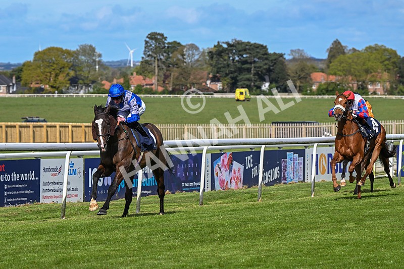 250424-Race 5-Arthurs Realm-1543 - Race 5