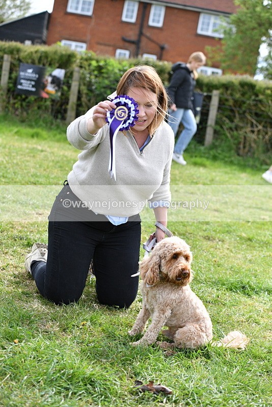 WJ5_9902 - Class 3 Most Handsome Dog