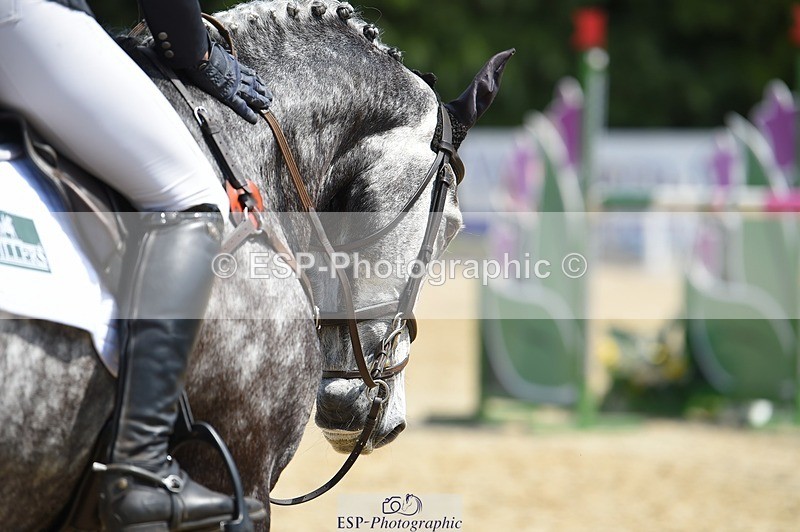 230528-121924-15643 - 311-BALLYCOSKERRY_REGAL_DIAMOND-Hollie_Swain-SUNTrotUp+SJ