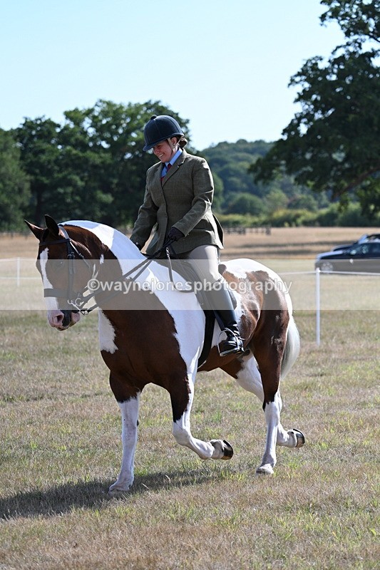 WJ7_2837 - Class 8 Ridden Tack & Turnout