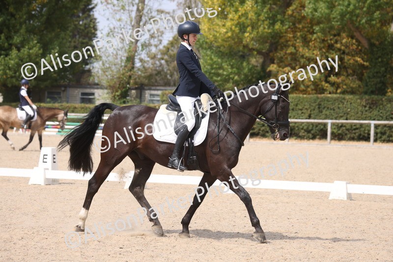 20260816-1073 - Class 4 - Novice 6