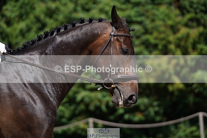 240719-151900-02587 - 129-Julie_Wheeler-Be_My_Scout