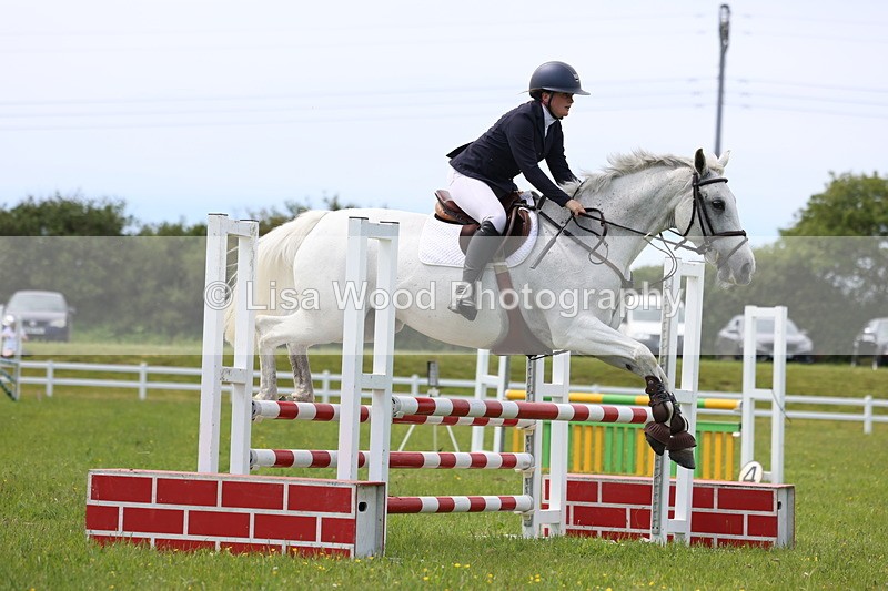 3E7A1520 - Class 13: Senior British Novice/90cm open