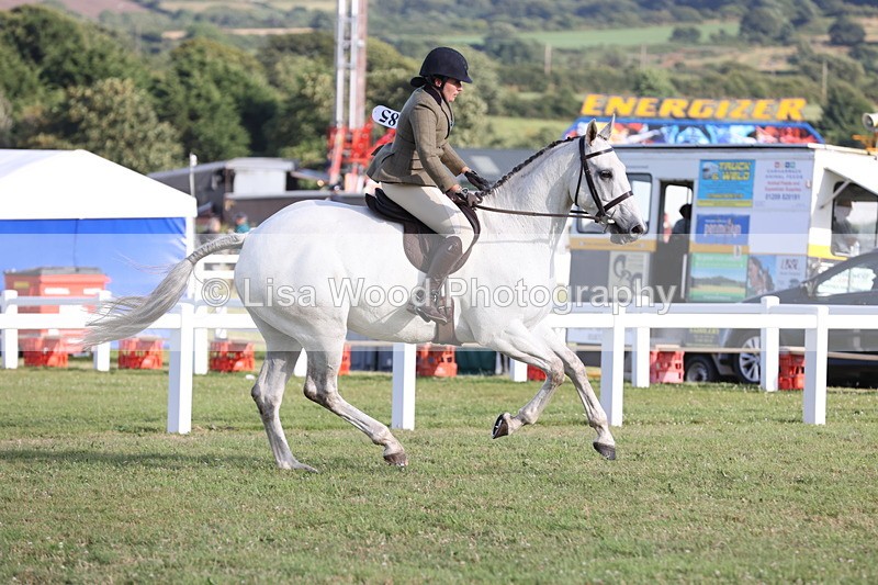 JPP_3495 - Class 22: Working Hunter 90cm