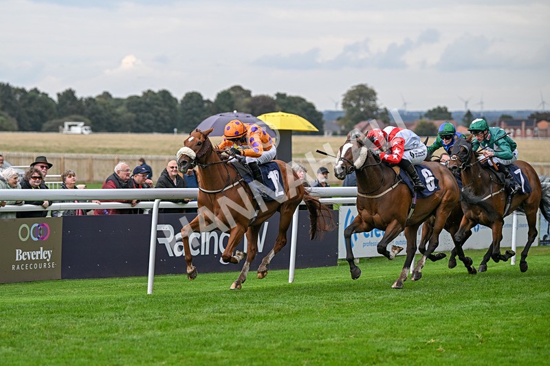 240924-Race 5-Ifonlytheycudtalk-6484 - Race 5