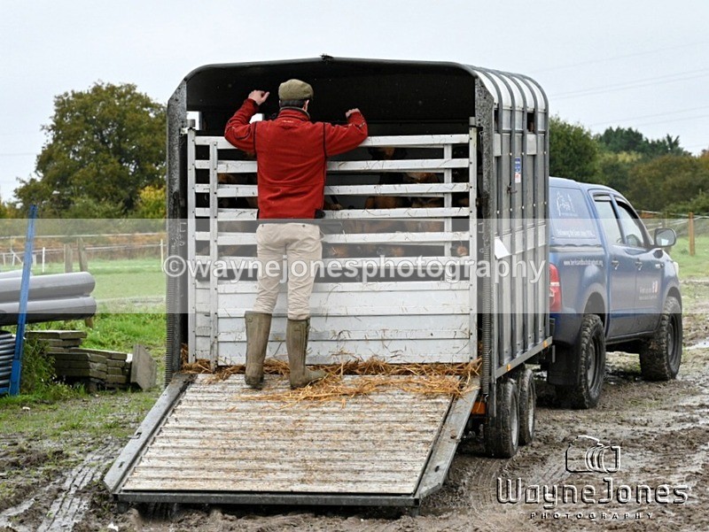 WJ7_7992 - Berks & Bucks Blackcroft Farm 20-10-24