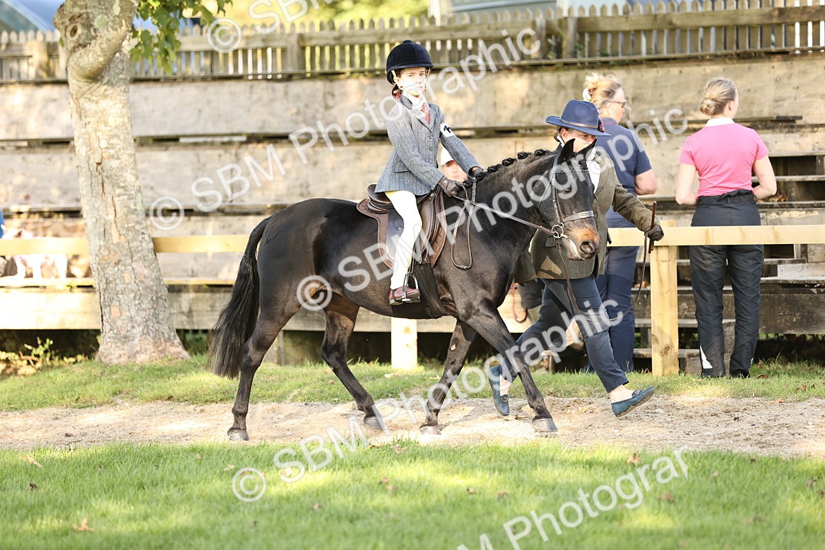 SBM_29365 - S7 - Novice & Newcomers Ridden Pony