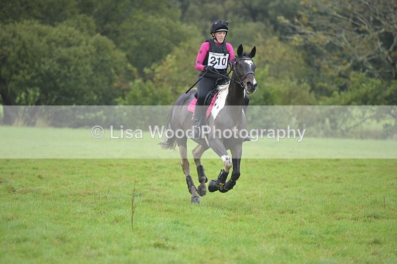 RAY_9530 - Class 2: 70cm: Corner