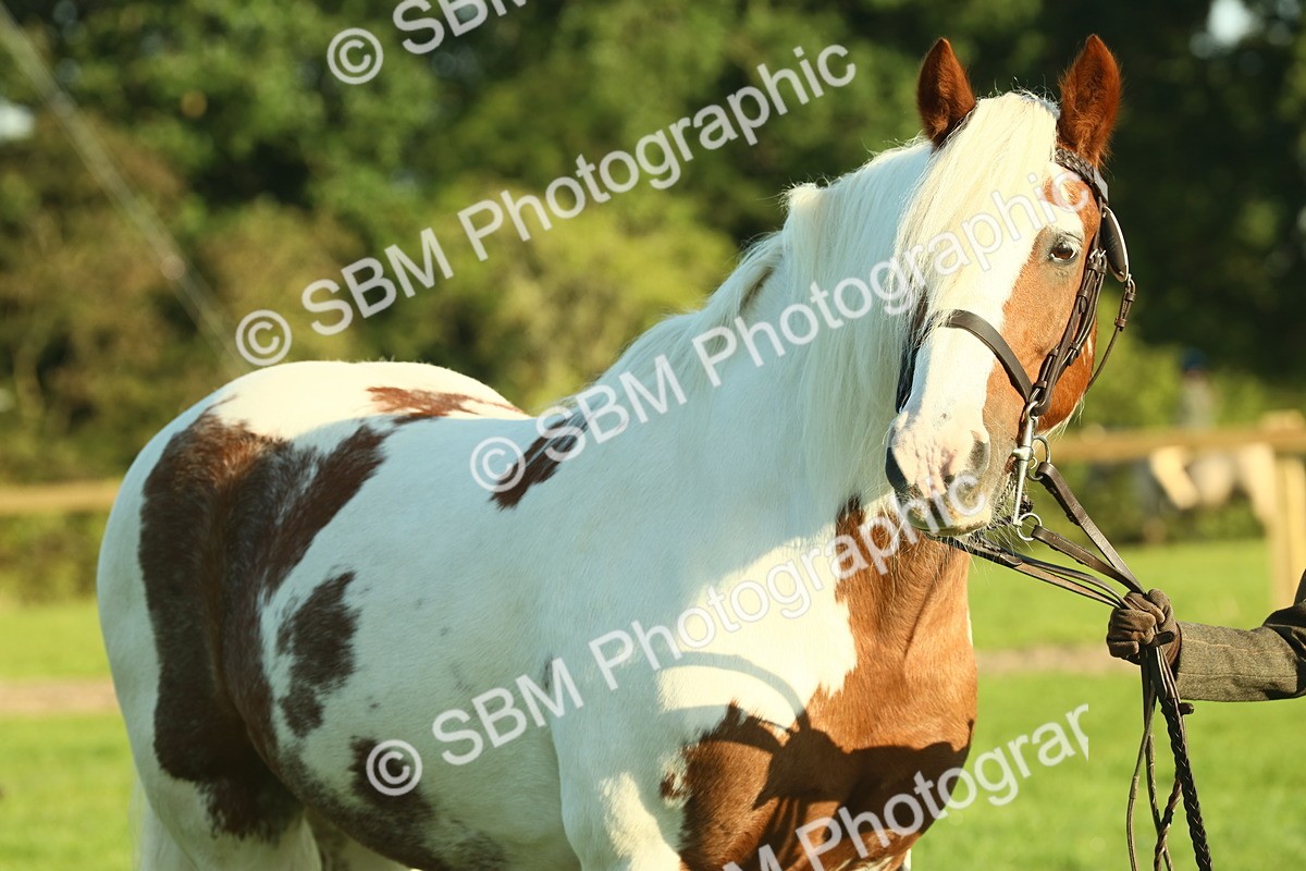 SBM_57493 - S37 - Starters In Hand Showing