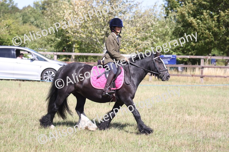 20260906-2344 - Class 16 - Family Pony