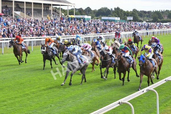 yr17082022r1-052 - Race 1 1.50pm Sky Bet & Symphony Group Stakes