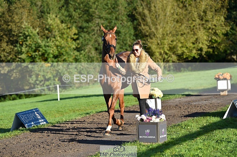 231022-093010-21833 - 682-DOOLIN.DE.REVE-Jasmine.Holmes-TrotUp+SJ