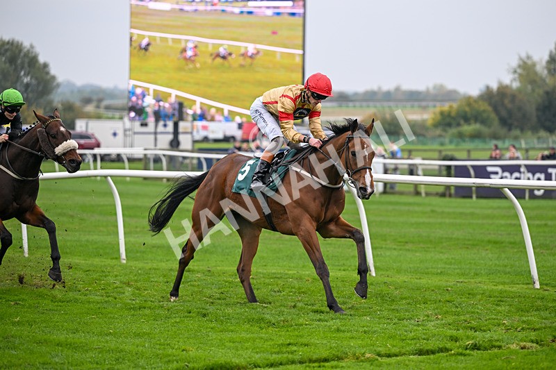 181025-Race 6-U Sure Do-1028 - Race 6