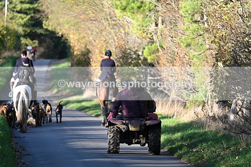 WJ7_8659 - Walk Home