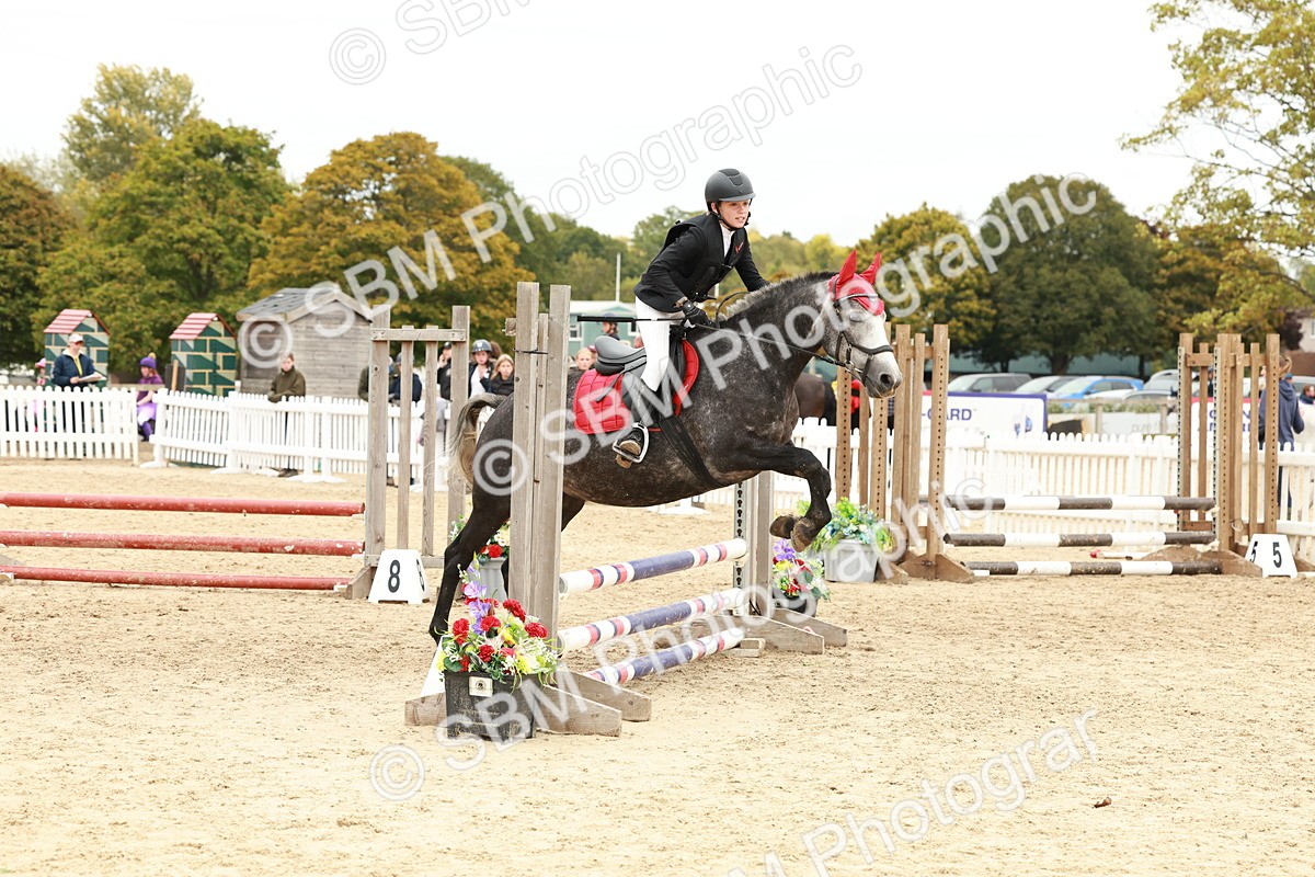 SBM_65261 - Supreme Championship 50cm & 55cm