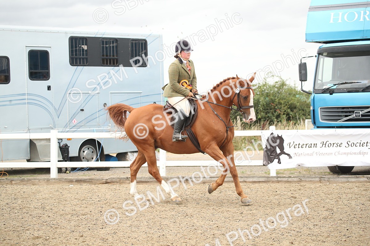 SBM_18491 - Class 510a - Working Veteran 90cm (15-19)