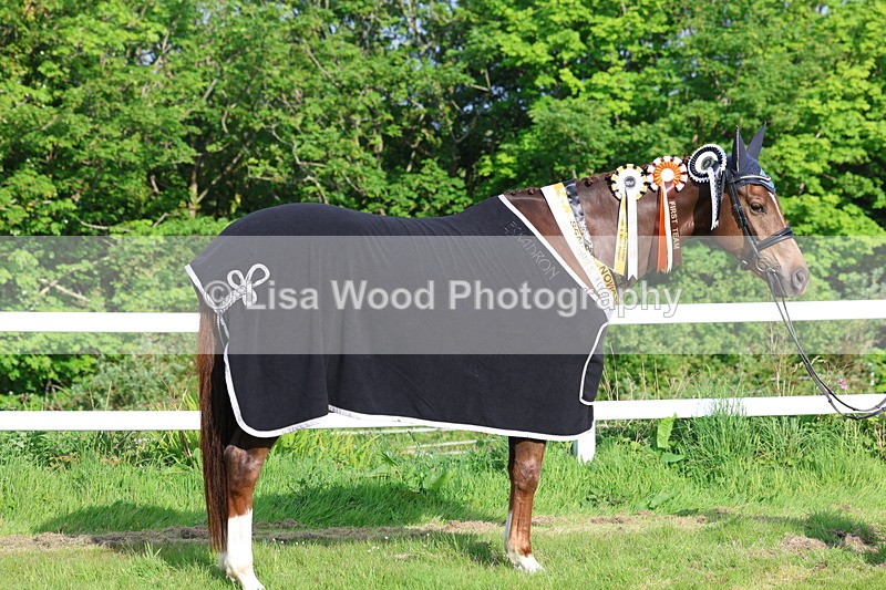3E7A0304 - Verity Perry
