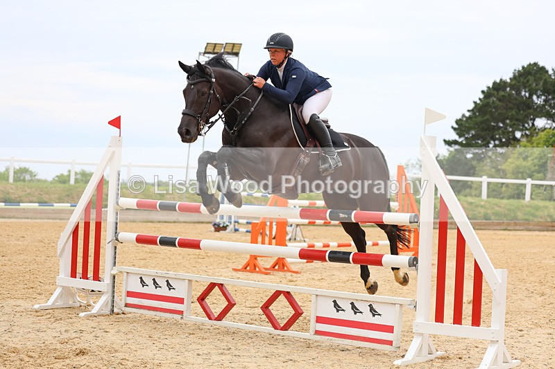 3E7A9569 - Class 9: Senior Foxhunter/1.20 open