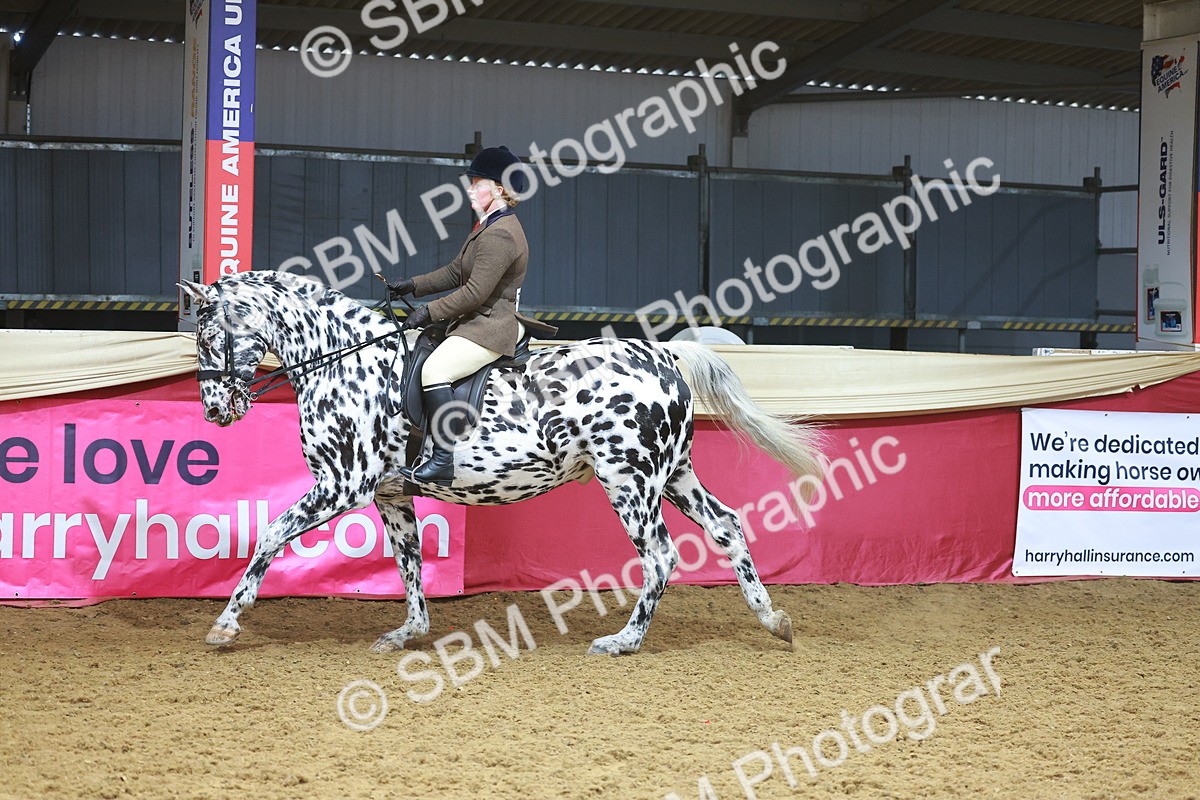 SBM_12487 - Class 103 - HOYS Veteran Qualifier - Ridden Pre Vet